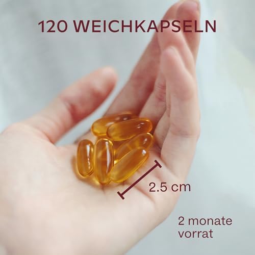 Omega 3 Kapseln Hochdosiert 2000mg – 2 Premium Fischöl Kapseln für optimale Gesundheit – 120 Stück für 60 Tage