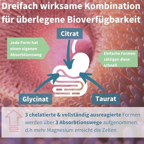 Igennus Dreifach-Magnesium-Komplex – Hoch bioverfügbares Glycinat, Taurat & Citrat für optimale Unterstützung, 60 vegane