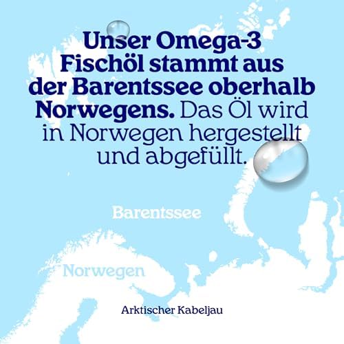 Arctic Blue Omega 3 Fischöl – hochdosiert mit DHA, EPA & Vitamin D – 150 ml flüssig für frischen Orangengeschmack ohne A